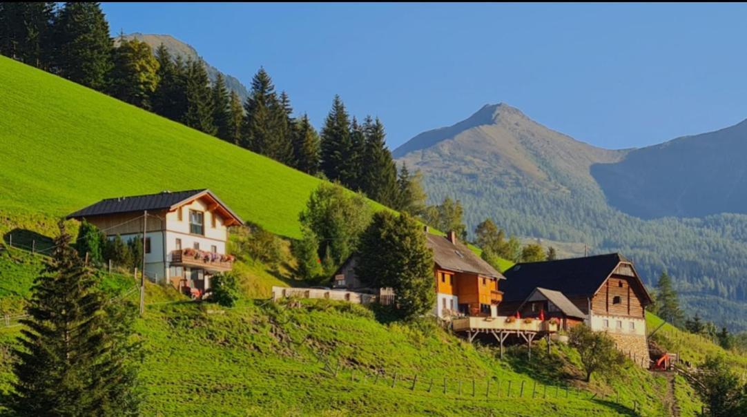 Chalet Leo Michaelerberg Buitenkant foto